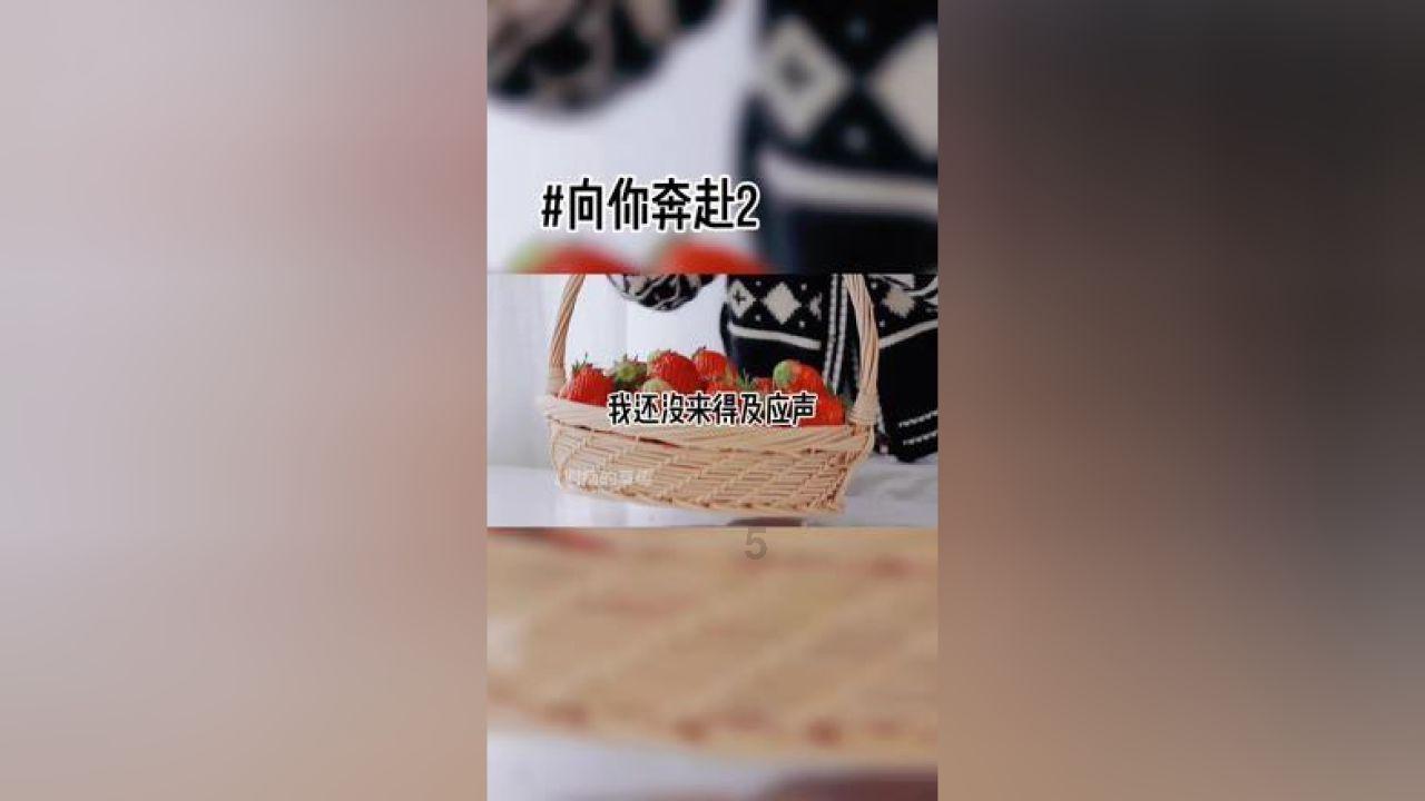 月光影视