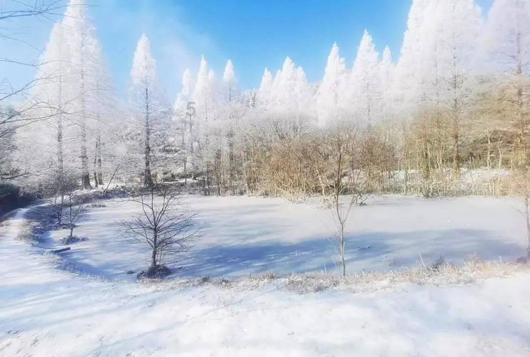 探寻奇趣无限,畅享五行属木带财运的字问答乐趣