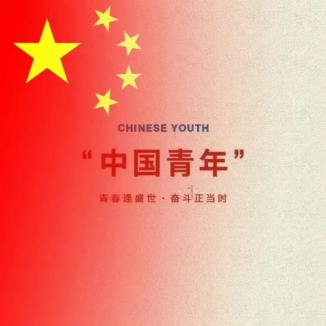 88影视