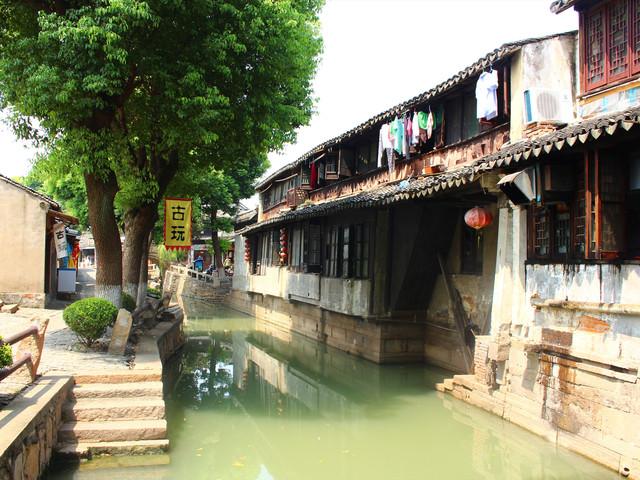 动物帮帮忙保卫家园