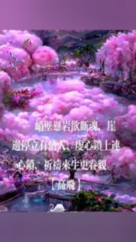 蓝狐视频
